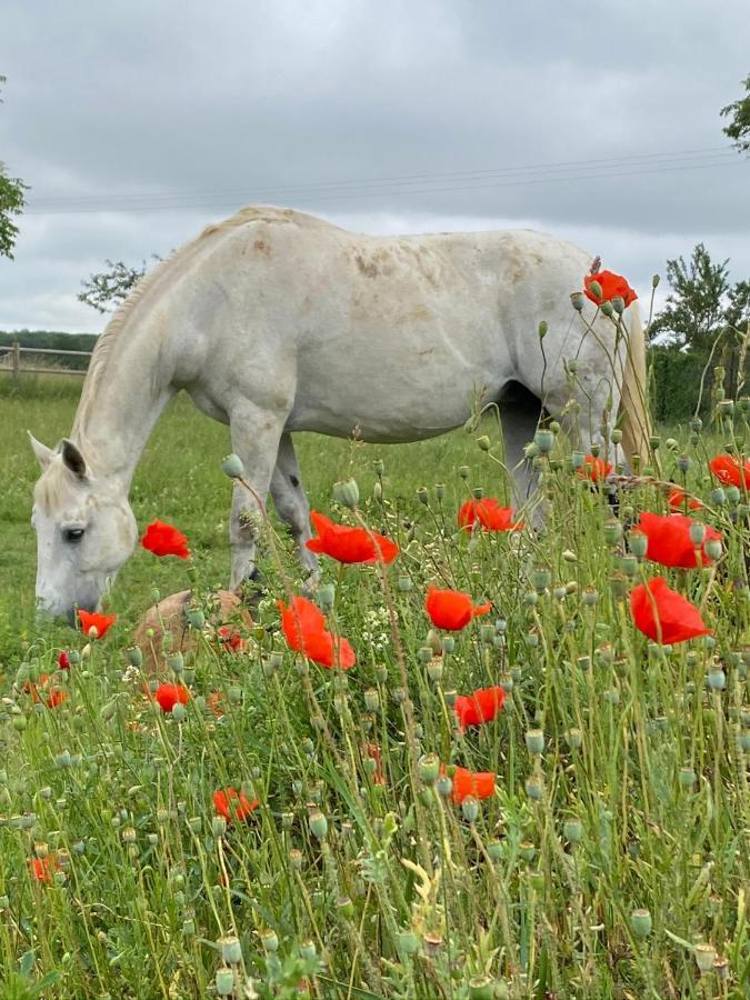 Domaine Nature Vacances Bernécourt Dış mekan fotoğraf