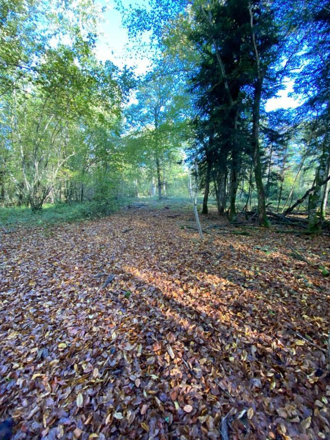 Domaine Nature Vacances Bernécourt Dış mekan fotoğraf