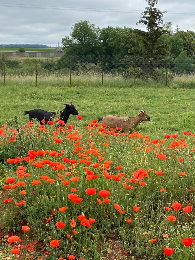 Domaine Nature Vacances Bernécourt Dış mekan fotoğraf