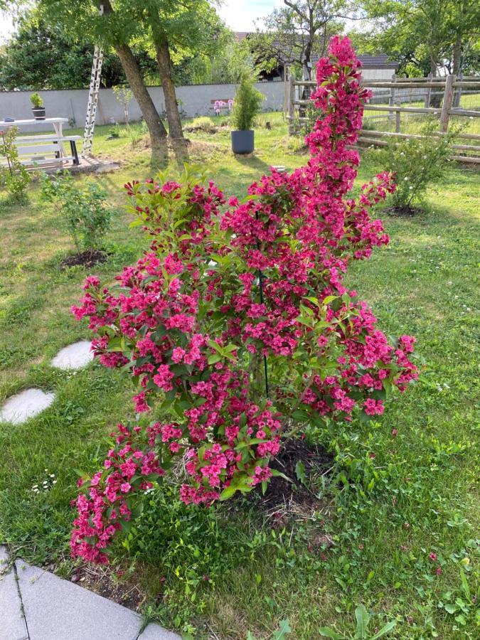 Domaine Nature Vacances Bernécourt Dış mekan fotoğraf